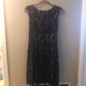 Vince Camino navy and cream lace dress 10